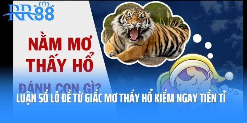 Luận số lô đề từ giấc mơ thấy hổ kiếm ngay tiền tỉ